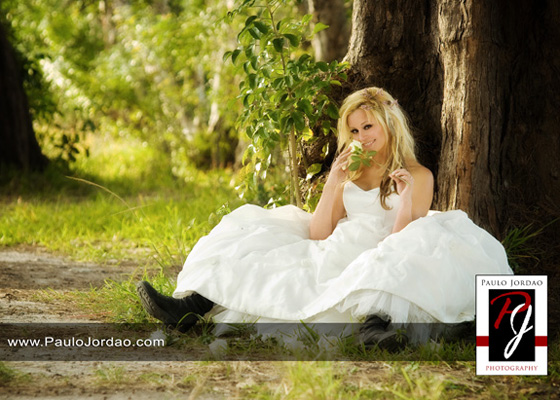Description: miami trash the dress